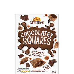 Chocolatey Squares