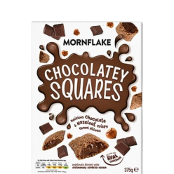 Chocolatey Squares