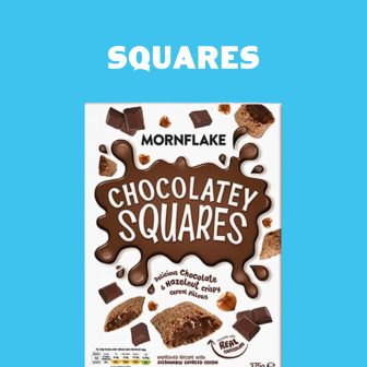 Chocolatey Squares